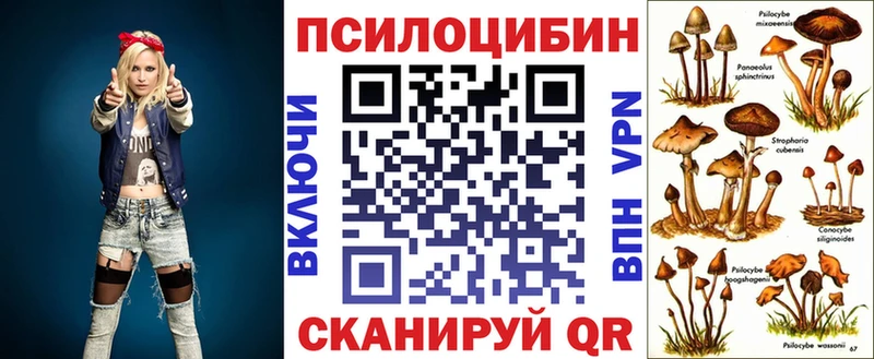 Псилоцибиновые грибы Psilocybine cubensis  darknet наркотические препараты  kraken ССЫЛКА  Козловка  где можно купить  